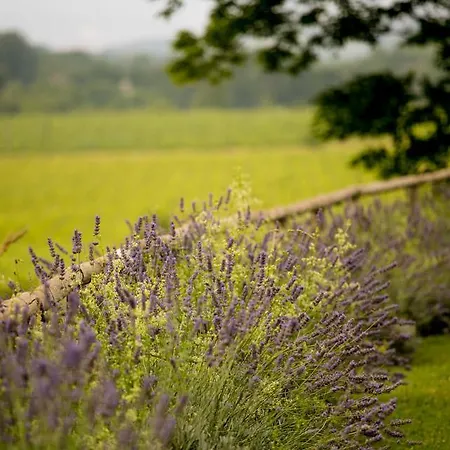 Bauernhof Welche Sind Besten In Der Nähe Von Azienda Agricola Meoli?